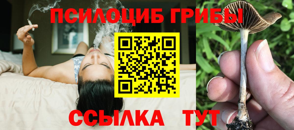 закладки  Галлюциногенные грибы мухоморы  Вход с VPN  Оренбург 