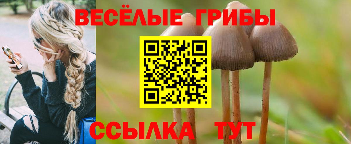 Псилоцибиновые грибы мухоморы Оренбург